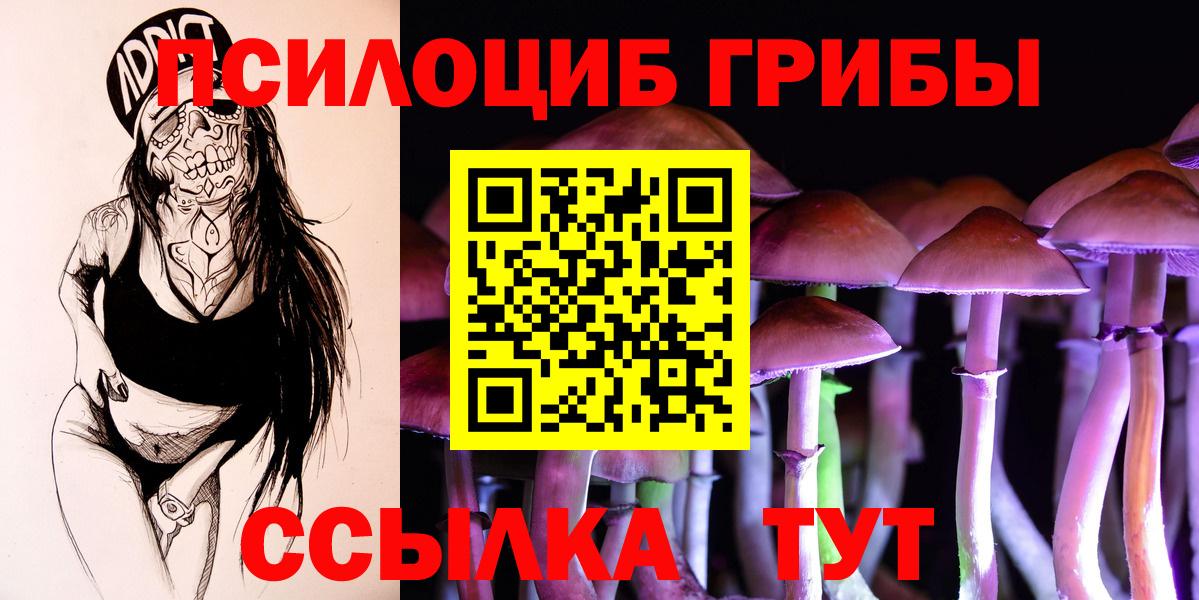 Галлюциногенные грибы Cubensis Ржев