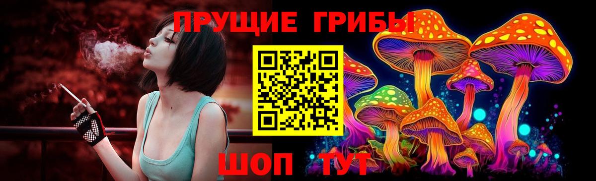 Псилоцибиновые грибы мицелий  Псилоцибиновые грибы Cubensis  Вход с VPN  Ржев 